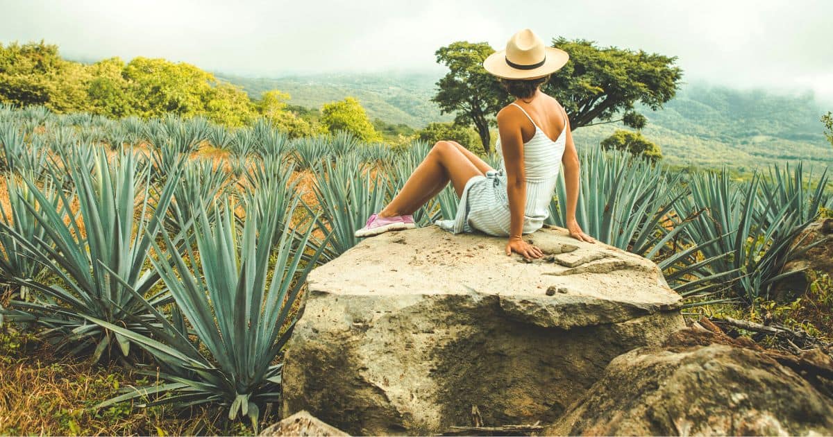 experiencia mezcalera