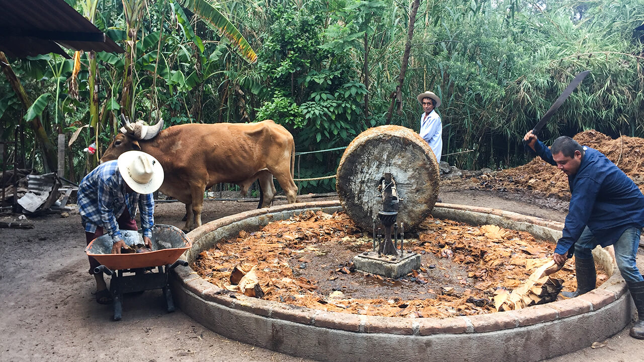 fabricacion del mezcal