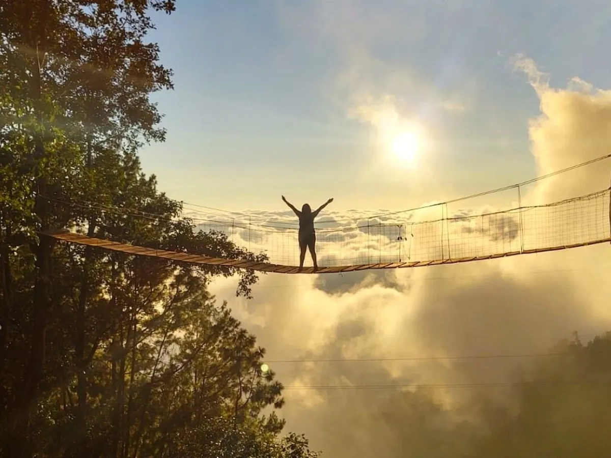 hanging bridge