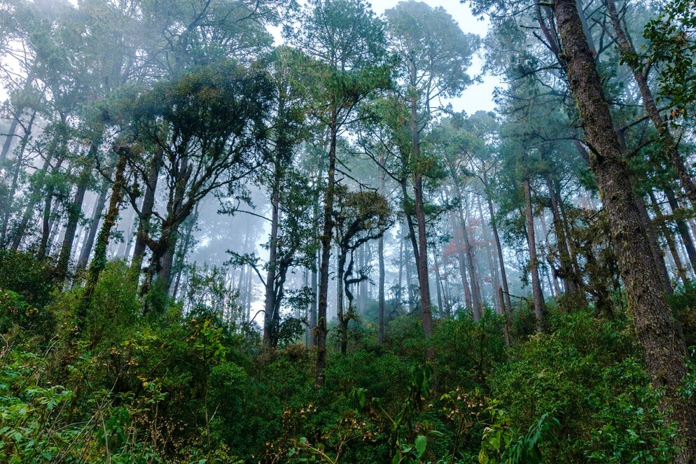 San Jose del Pacifico