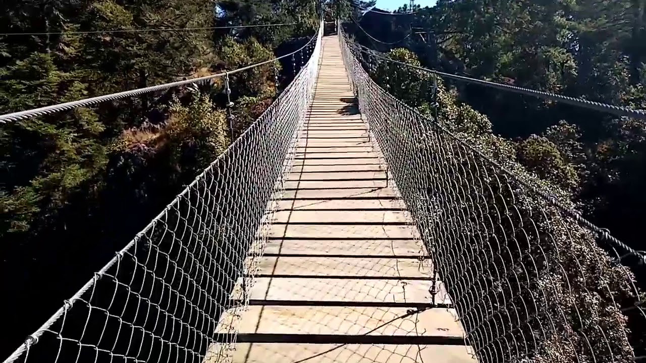 hanging bridge